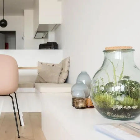 Dedijk By Bloss * Ostend