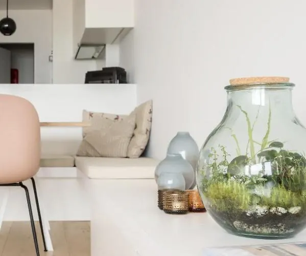 Dedijk By Bloss * オステンド